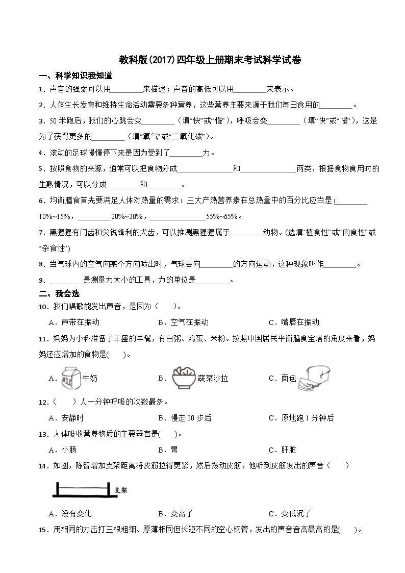 期末考试卷（试题）-2024-2025学年四年级上册科学教科版(2017)