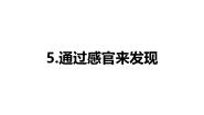 小学科学5. 通过感官来发现教学课件ppt