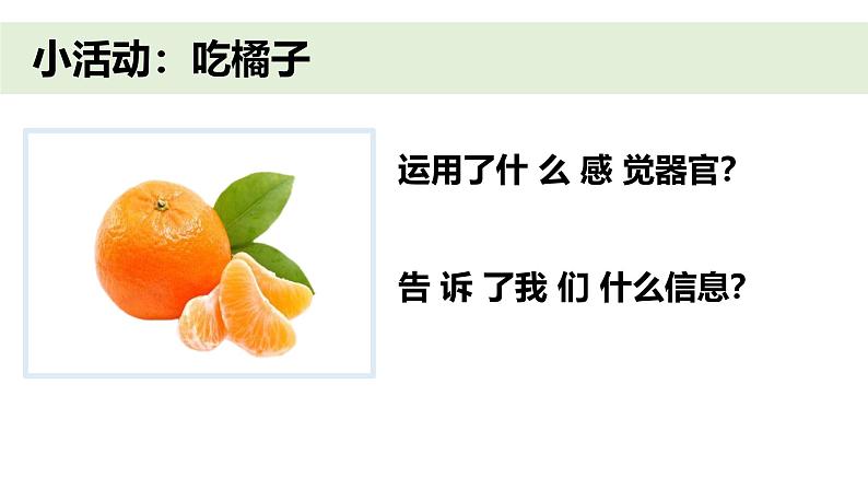 小学科学新教科版一年级上册第二单元第5课《通过感官来发现》教学课件(2024秋)第2页