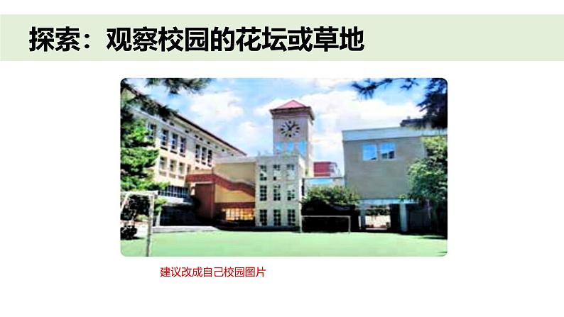 小学科学新教科版一年级上册第二单元第5课《通过感官来发现》教学课件(2024秋)第4页