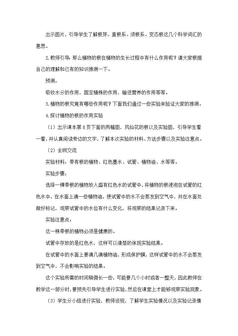 《种子长出了根》教学设计第3页