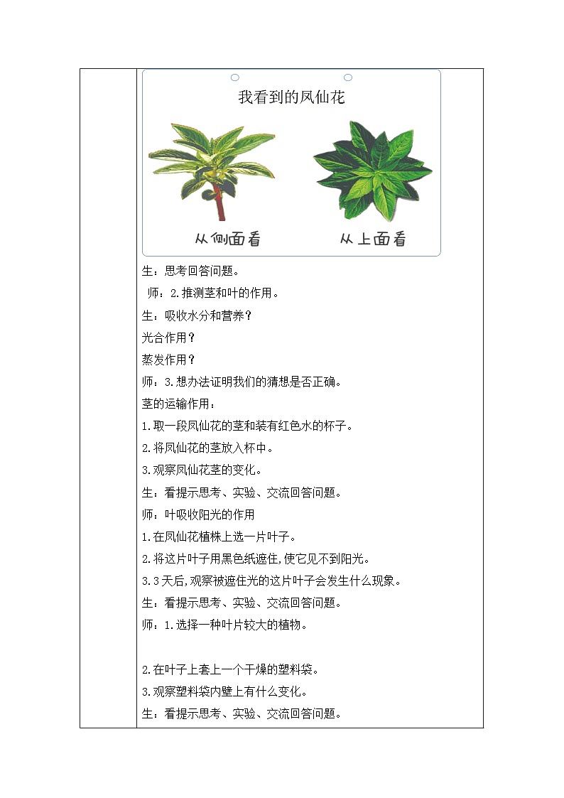《同步备课:茎和叶》参考教案第2页