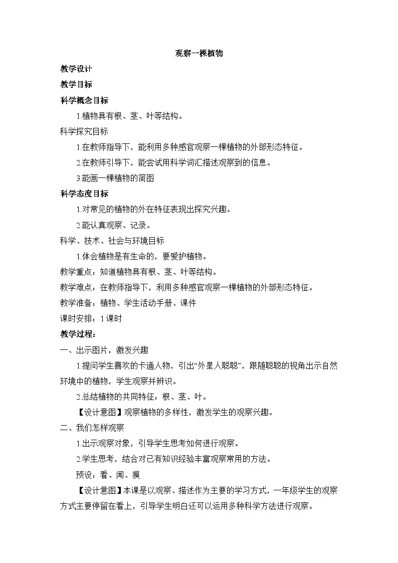 《观察一棵植物》参考教案第1页