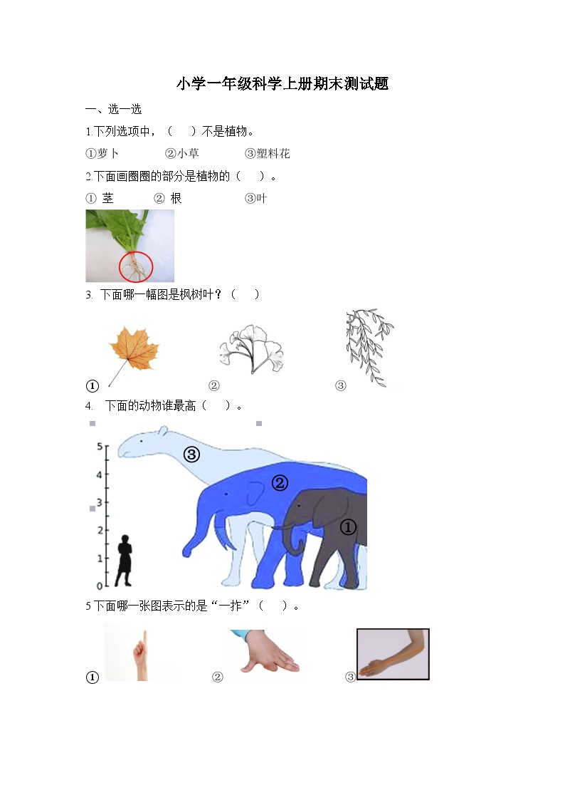 一年级科学教科版上册期末测试题