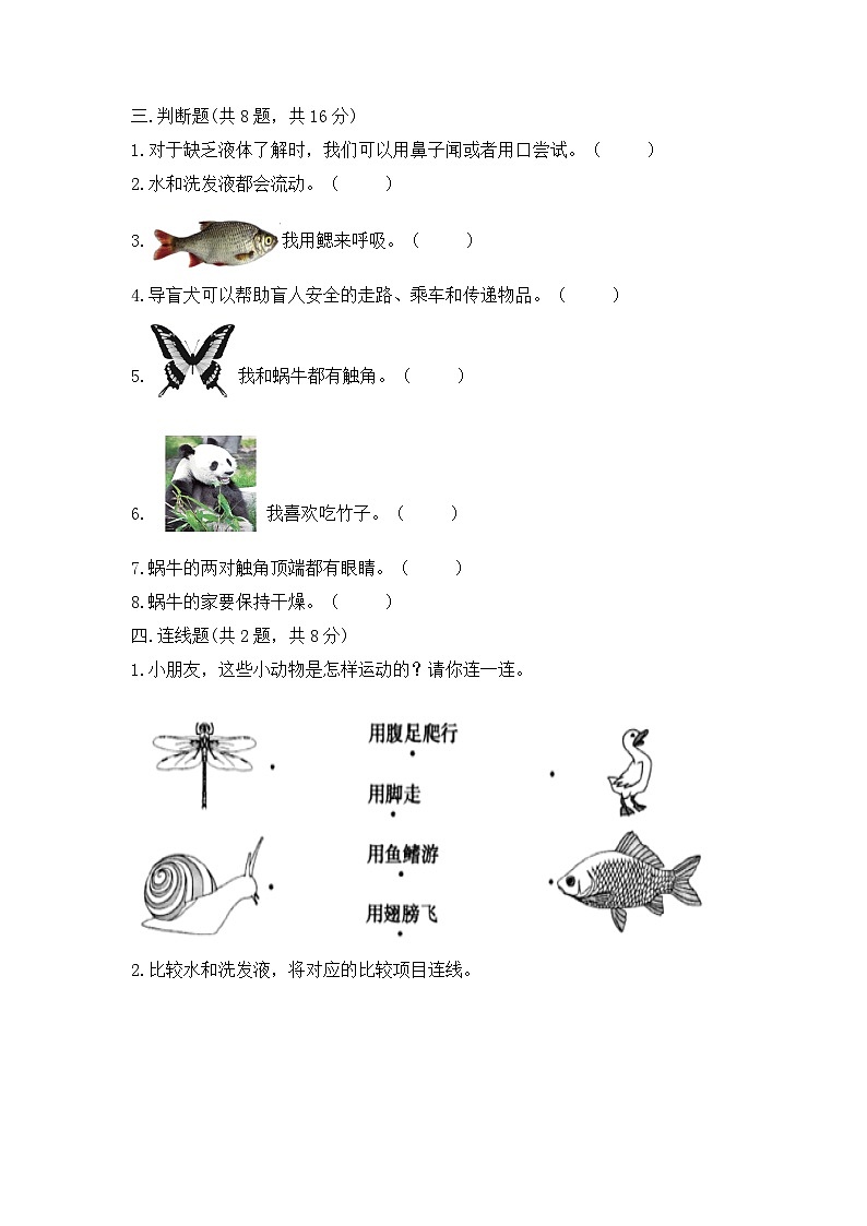 教科版科学一年级下册期末测试《满分必刷(A卷)》03