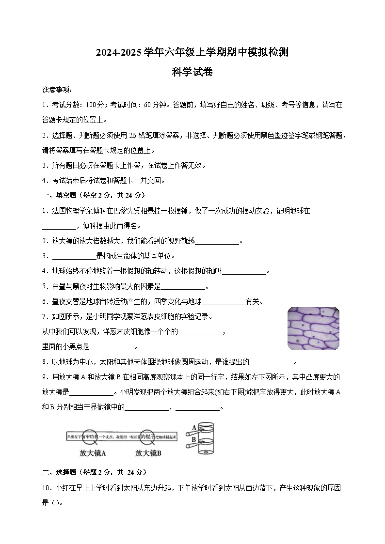 2024-2025学年六年级上学期科学期中模拟试卷（教科版）（含答案解析）