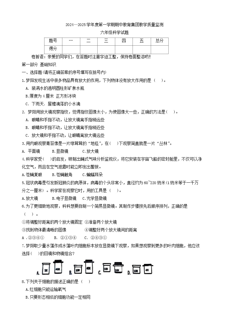 山东省滨州市博兴县2024-2025学年六年级上学期11月期中科学试题