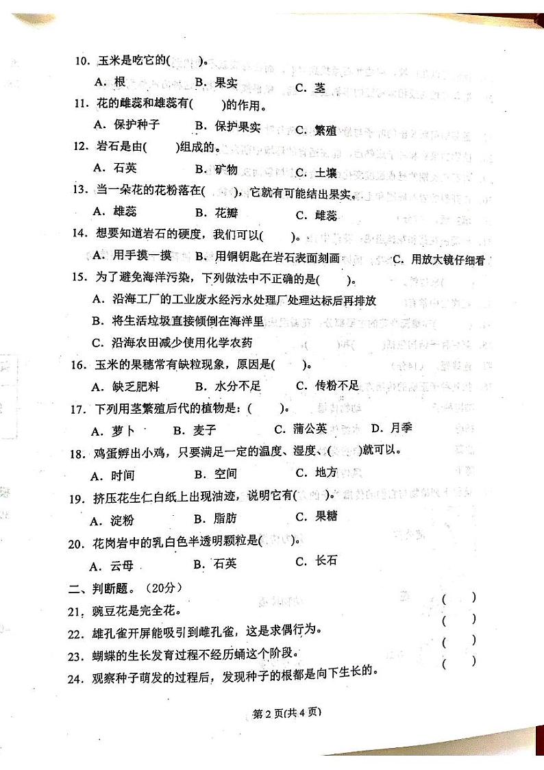 广东省汕尾市陆丰市2024-2025学年四年级上学期期中科学试题第2页