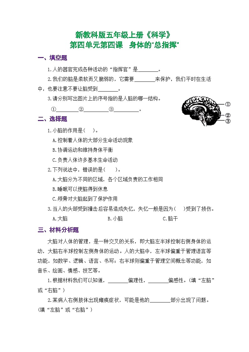 新教科版五年级上册《科学》课时练习第四单元第四课 身体的“总指挥”【后附参考答案】第1页