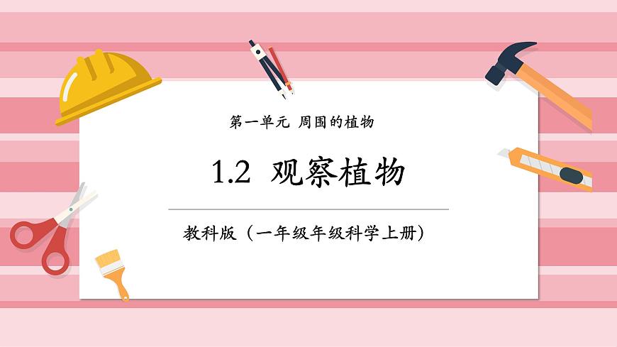 【大單元整體教學(xué)】1.2《觀察植物》課時(shí)課件第1頁