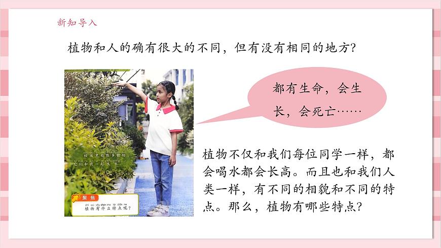 【大單元整體教學(xué)】1.2《觀察植物》課時(shí)課件第4頁