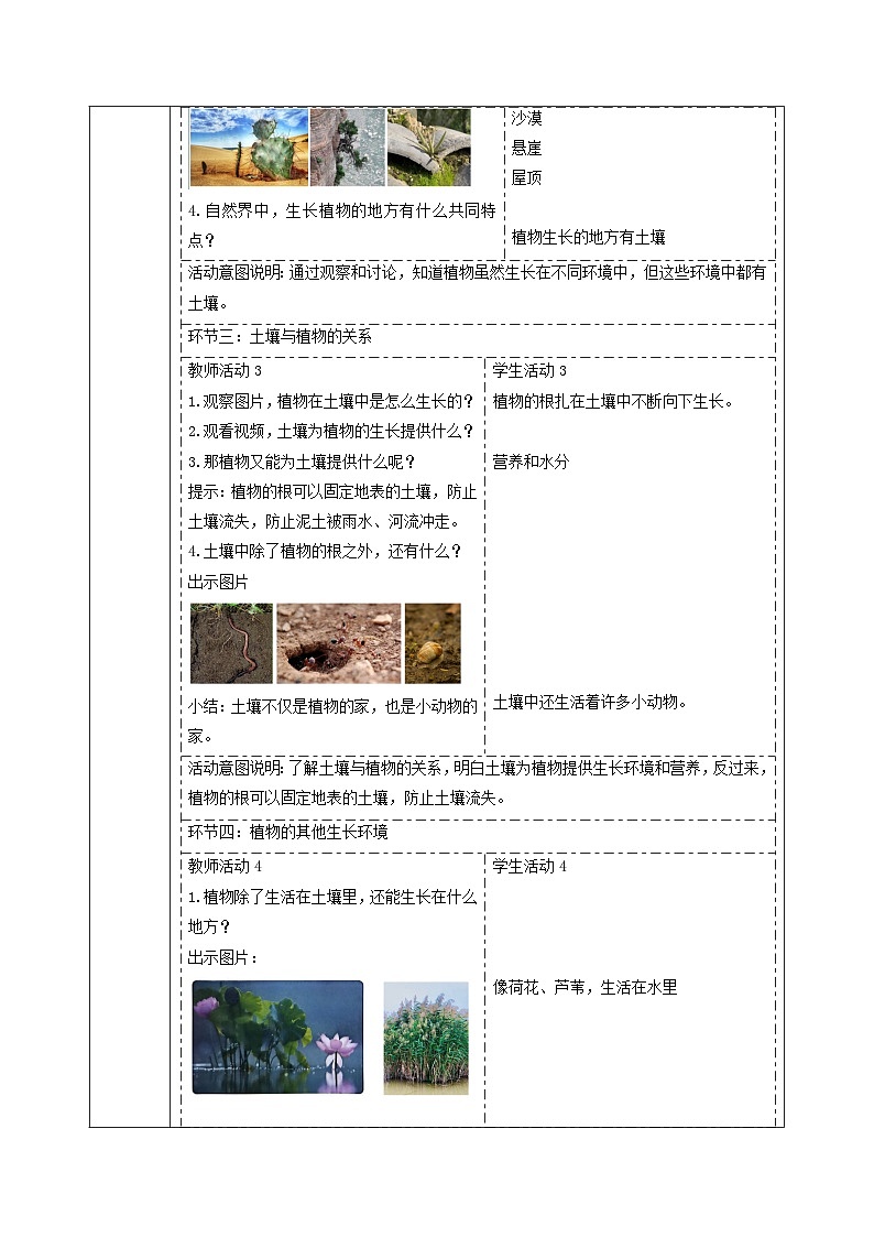 【大单元整体教学】1.3《植物长在哪里》课时教案第3页