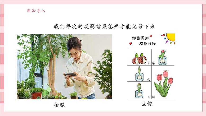 【大單元整體教學(xué)】1.4《給植物畫張“像”》課時(shí)課件第4頁(yè)