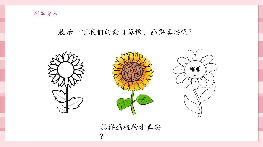 【大單元整體教學(xué)】1.4《給植物畫張“像”》課時(shí)課件第6頁(yè)