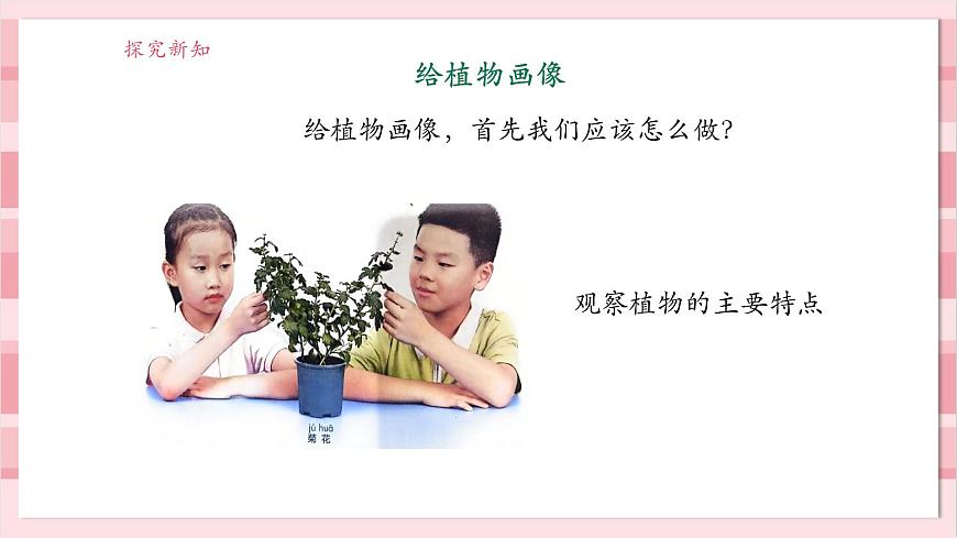 【大單元整體教學(xué)】1.4《給植物畫張“像”》課時(shí)課件第7頁(yè)