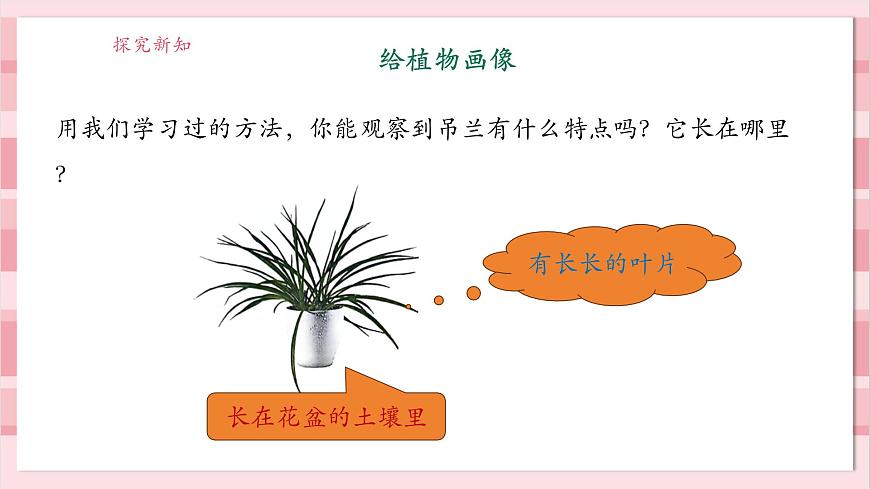 【大單元整體教學(xué)】1.4《給植物畫張“像”》課時(shí)課件第8頁(yè)