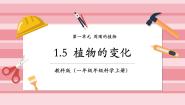 小学科学教科版（2024）一年级上册（2024）第一单元 周围的植物5. 植物的变化评优课课件ppt