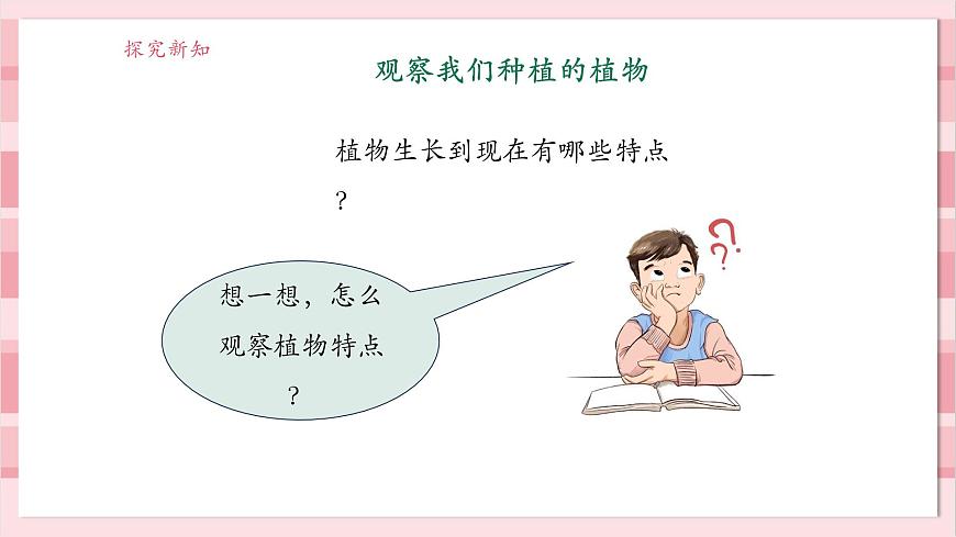 【大單元整體教學(xué)】1.5《植物的變化》課時(shí)課件第5頁(yè)