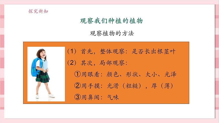 【大單元整體教學(xué)】1.5《植物的變化》課時(shí)課件第6頁(yè)