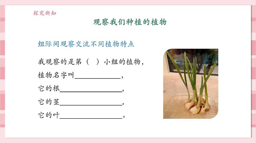 【大單元整體教學(xué)】1.5《植物的變化》課時(shí)課件第8頁(yè)