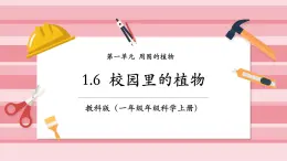 【大单元核心素养】教科版科学一年级上册1.6《校园里的植物》单元整体设计+课件+教案+素材