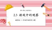 小学科学教科版（2024）一年级上册（2024）3. 游戏中的观察优秀课件ppt