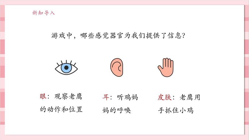 【大單元整體教學(xué)】2.3《游戲中的觀察》課時(shí)課件第7頁