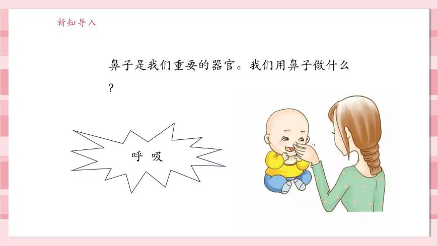 【大單元整體教學(xué)】2.4《氣味告訴我們》課時(shí)課件第4頁(yè)