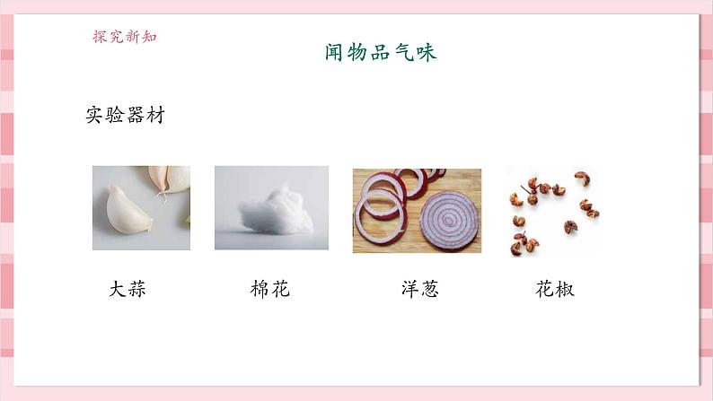 【大单元整体教学】2.4《气味告诉我们》课时课件第7页
