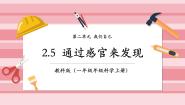 小学科学教科版（2024）一年级上册（2024）5. 通过感官来发现公开课课件ppt
