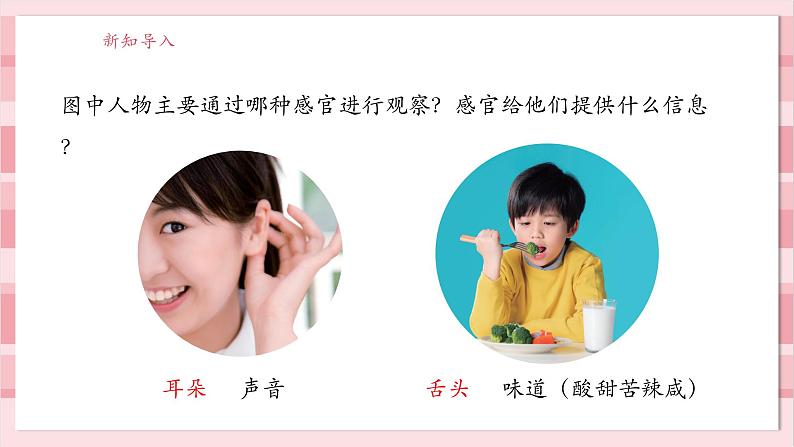 【大单元整体教学】2.5《通过感官来发现》课时课件第7页