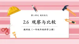 【大单元核心素养】教科版科学一年级上册2.6《观察与比较》单元整体设计+课件+教案