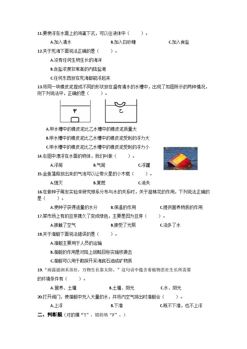 广东省汕尾市陆丰市河东镇2024-2025学年五年级上学期期中科学试题第2页