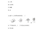科学二年级上册1.我们生活的世界课后练习题