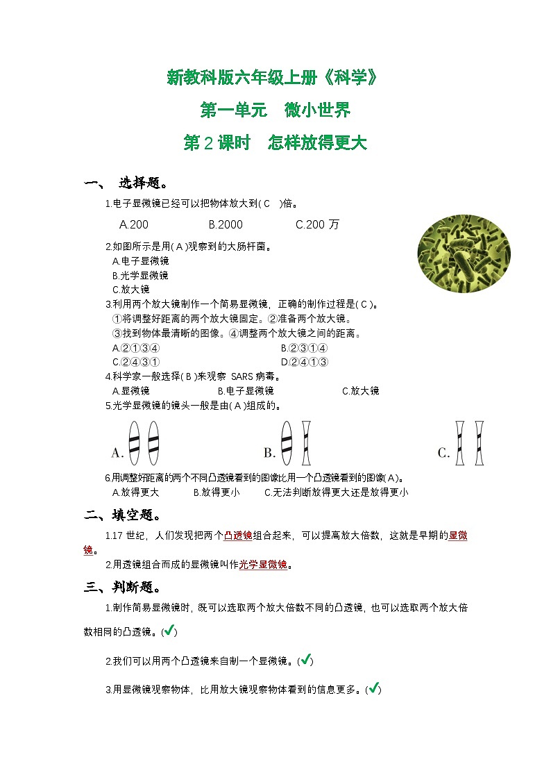 新教科版六年级上册《科学》第一单元微小世界第二课时 怎样放得更大课时作业练习【附参考答案】第1页