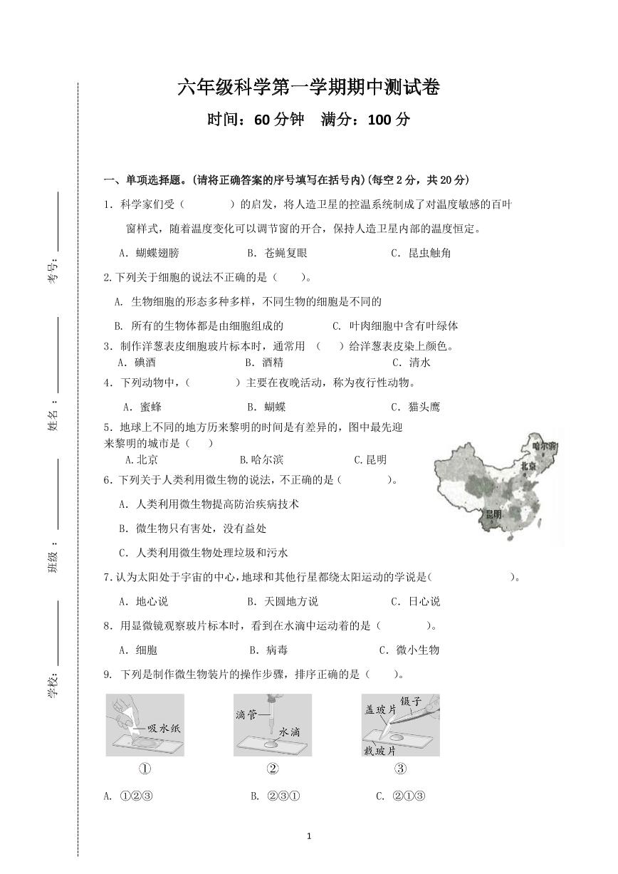 山东省滨州市某校2024-2025学年六年级上学期期中考试科学试题