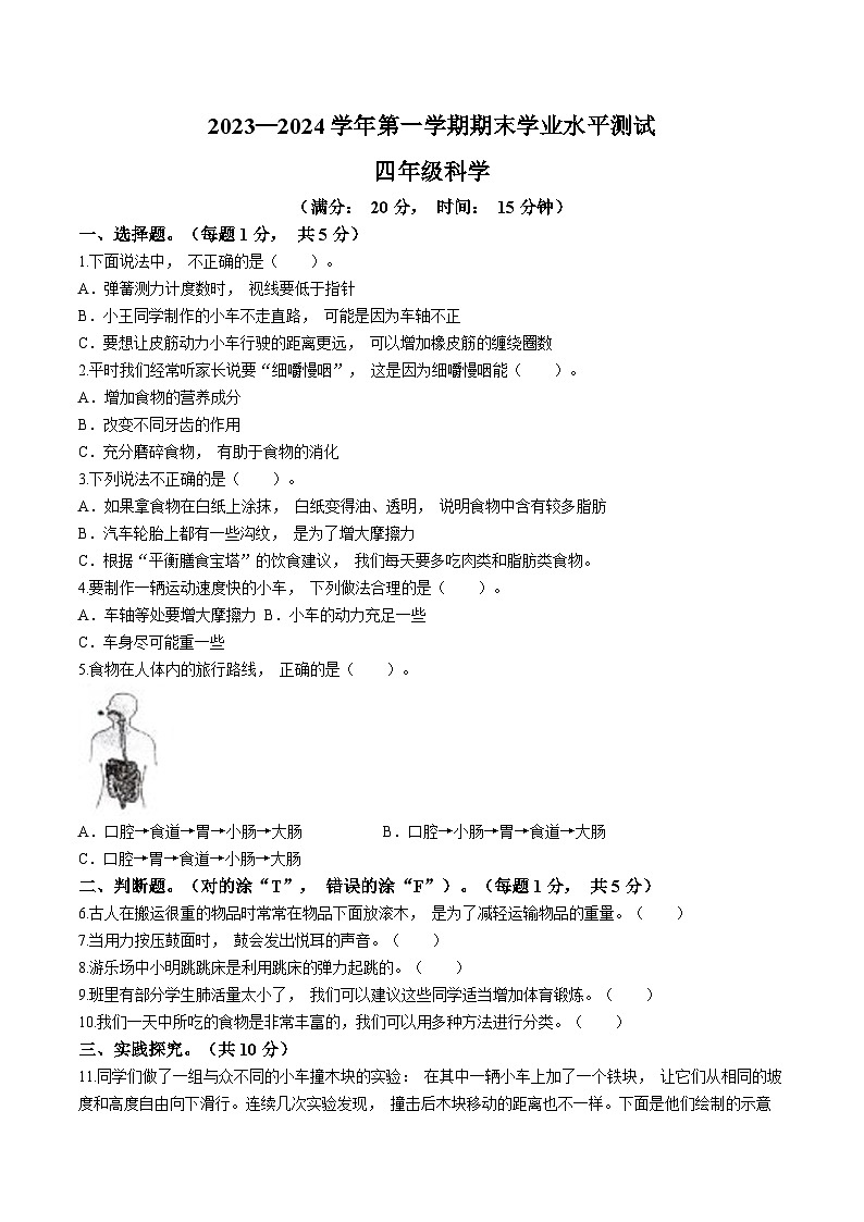 2023-2024学年山东省菏泽市定陶区教科版四年级上册期末考试科学试卷第1页