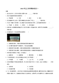 期末试卷(试题)2024-2025学年五年级上册科学教科版