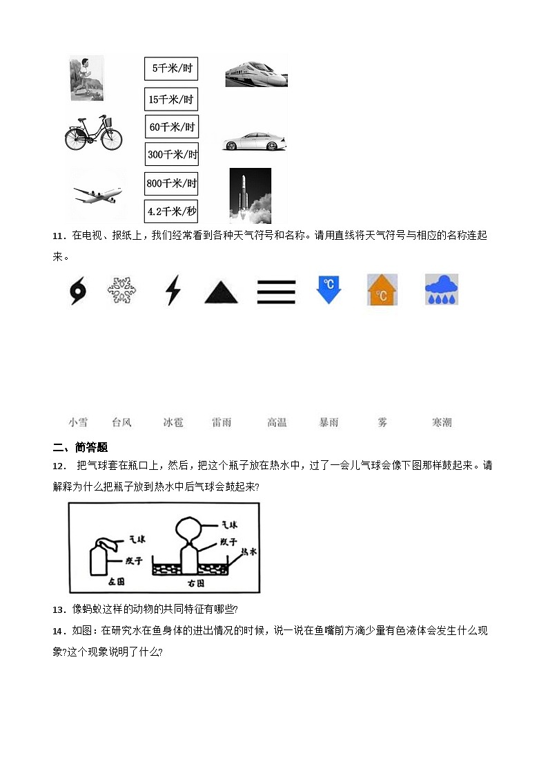 青岛版·六三制小学科学四年级上册期末复习试题汇总--连线+简答题(含答案+解析)第3页
