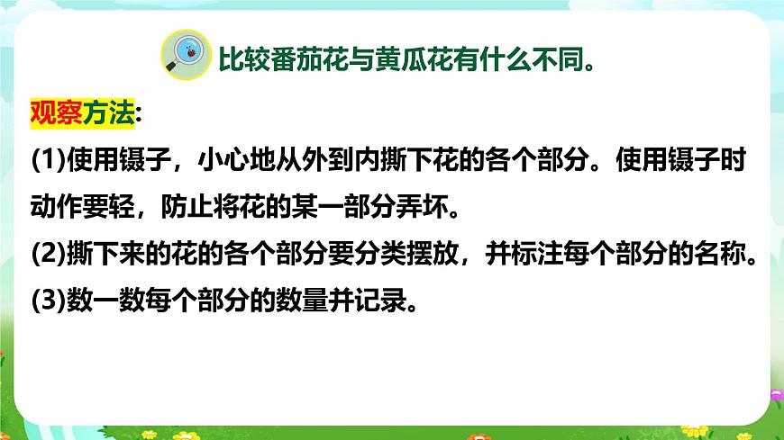 【核心素養(yǎng)】蘇教版（2017）科學(xué)三下 1.3《植物開花了》課件第6頁