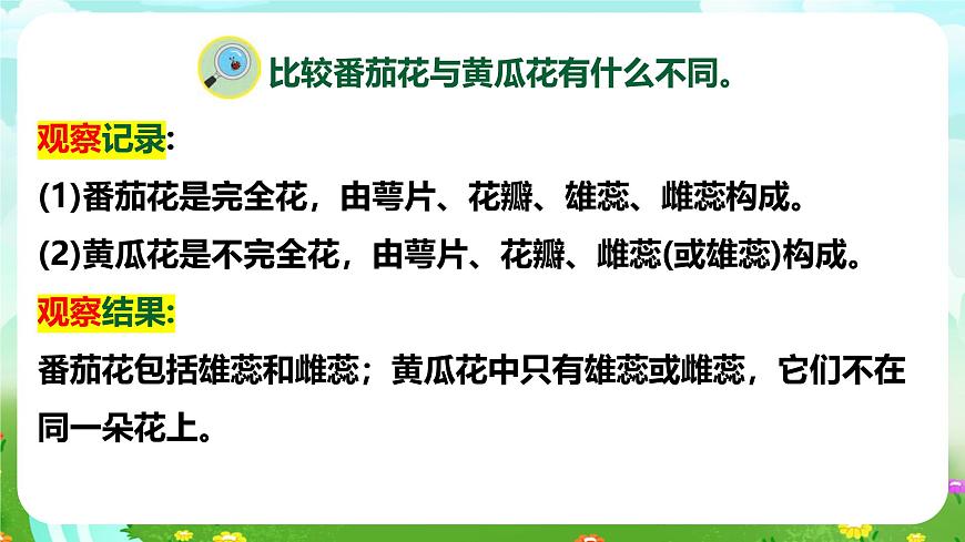 【核心素養(yǎng)】蘇教版（2017）科學(xué)三下 1.3《植物開花了》課件第7頁