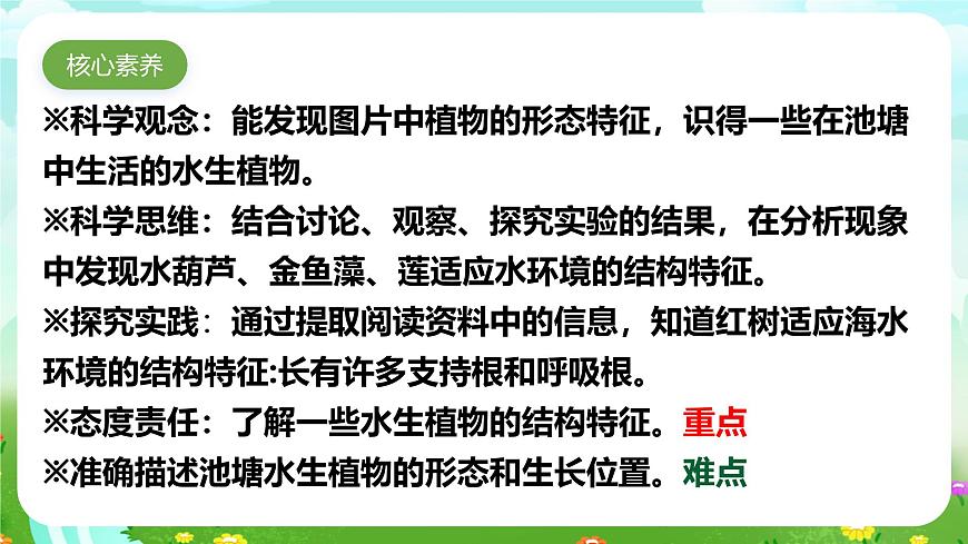 【核心素養(yǎng)】蘇教版（2017）科學(xué)三下 2.7《水里的植物》課件第3頁