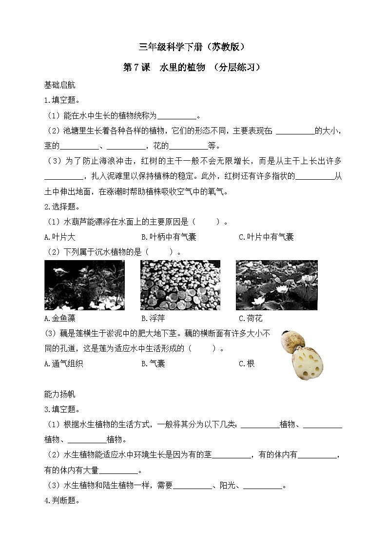 【核心素养】苏教版(2017)科学三下 2.7《水里的植物》分层练习(含答案)第1页