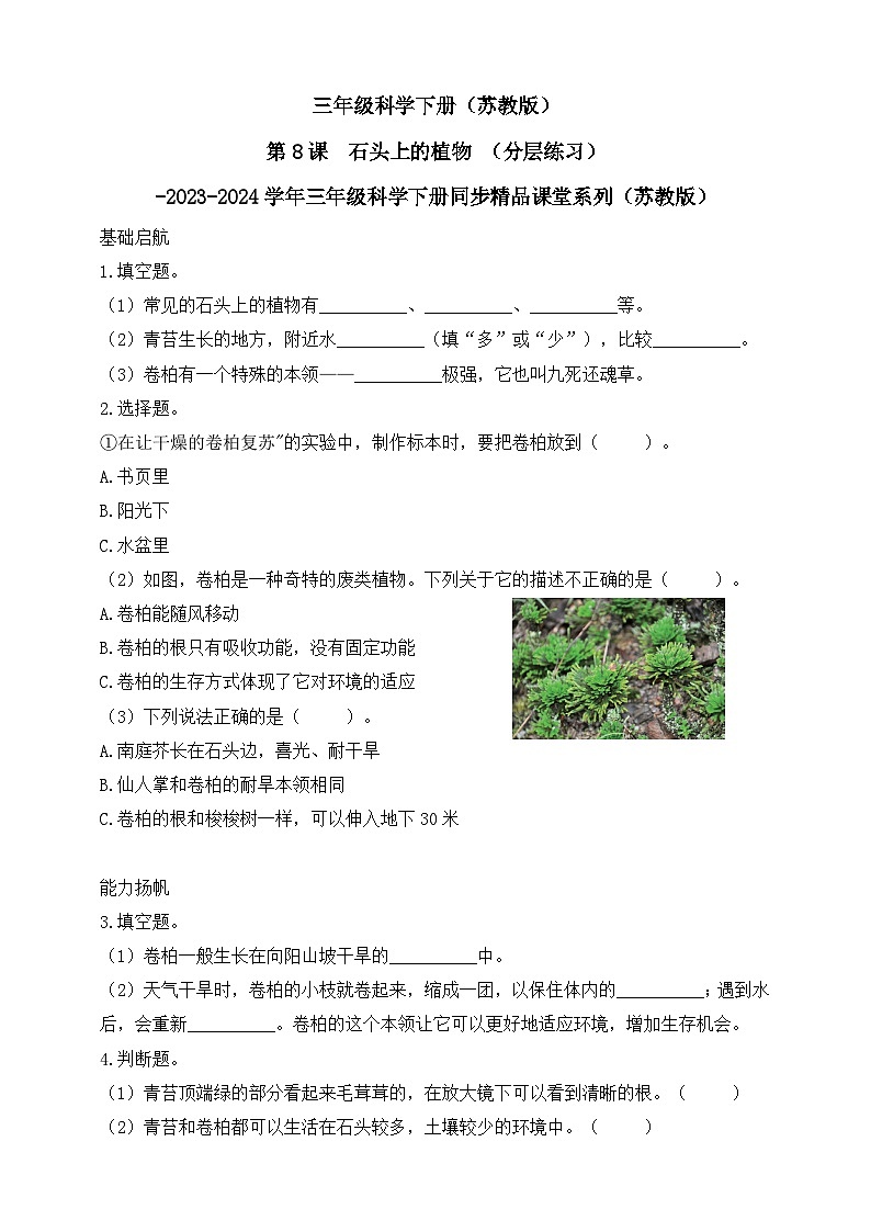 【核心素养】苏教版(2017)科学三下 2.8《石头上的植物》分层练习(含答案)第1页