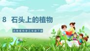 小学科学苏教版（2024）三年级下册（2017）第二单元 植物与环境8 石头上的植物精品ppt课件