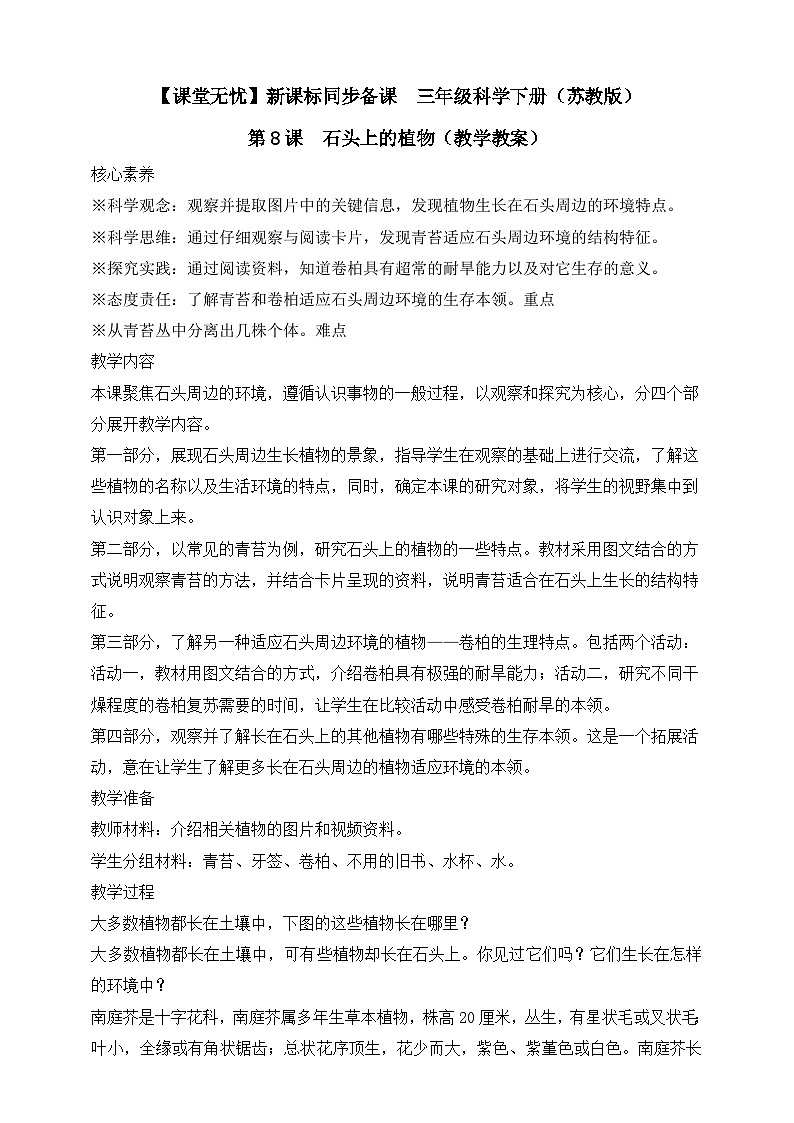 【核心素养】苏教版(2017)科学三下 2.8《石头上的植物》教案第1页