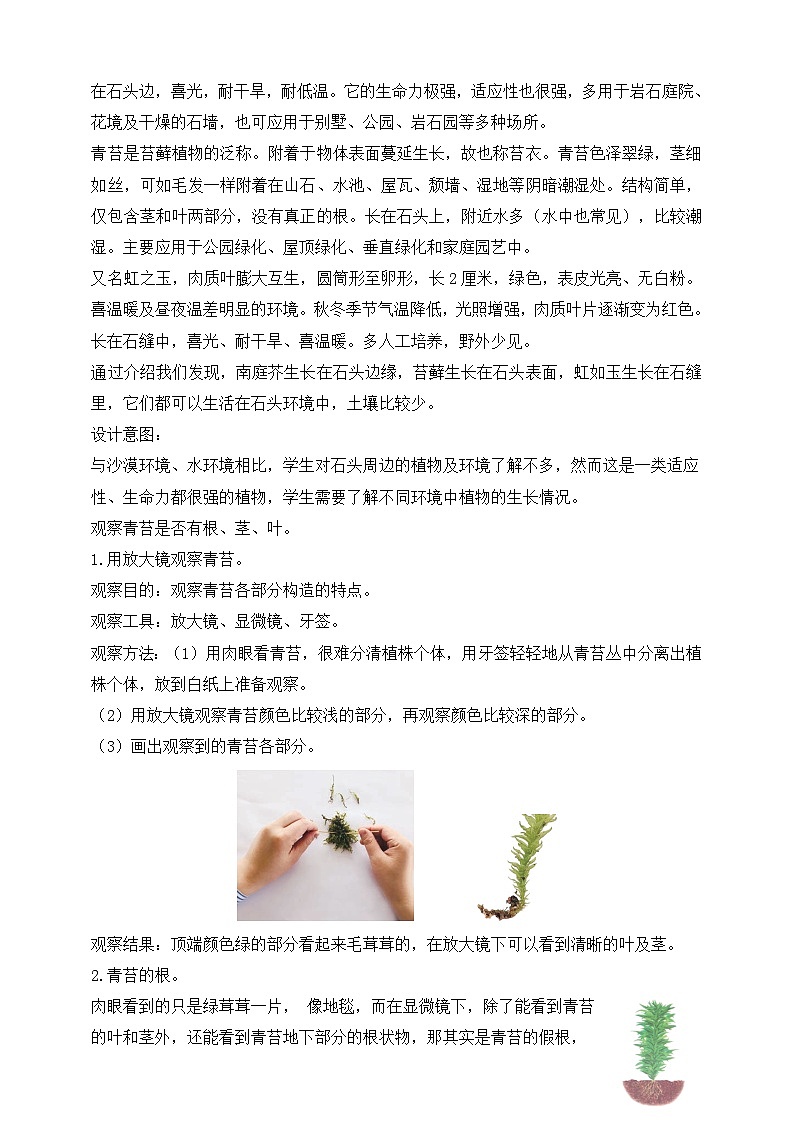 【核心素养】苏教版(2017)科学三下 2.8《石头上的植物》教案第2页