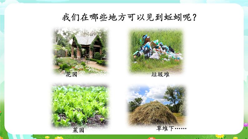 人教鄂教版(2017)科学六下 1.2《动物对环境的适应》课件第5页