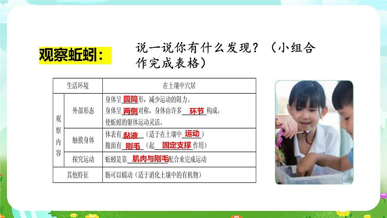 人教鄂教版(2017)科学六下 1.2《动物对环境的适应》课件第7页