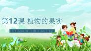 小学科学青岛版（六三制）(2024)三年级下册（2017）第四单元 植物的繁殖12 植物的果实完美版课件ppt